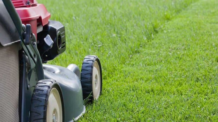 How often should you mow your lawn