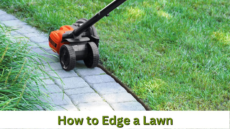 How to Edge a Lawn