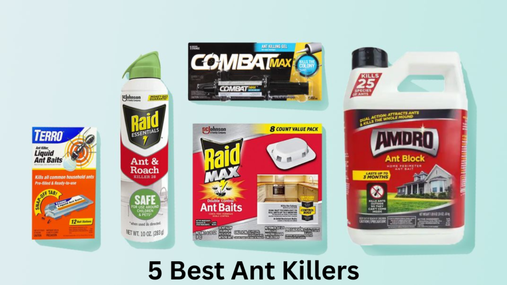 5 Best Ant Killers