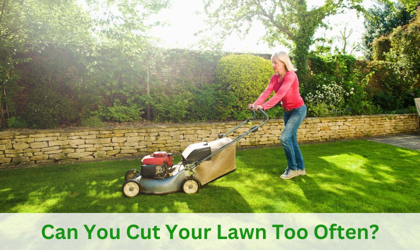 Can You Cut Your Lawn Too Often